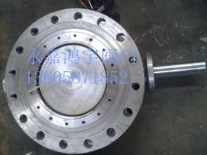 品牌 生產(chǎn)供應(yīng)商廠家 今日行情價(jià)格走勢(shì) 永嘉縣江北鴻宇閥門(mén)廠