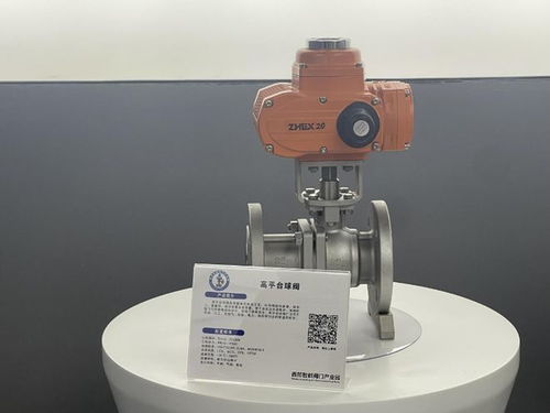 一年蝶變 看墊江智能閥門產(chǎn)業(yè)如何“閥”奮圖強(qiáng)