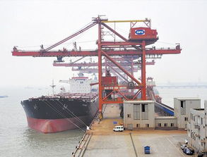 煙臺(tái)至廈門(mén)內(nèi)貿(mào)海運(yùn) 價(jià)格構(gòu)成與專(zhuān)業(yè)運(yùn)輸代理服務(wù)詳解